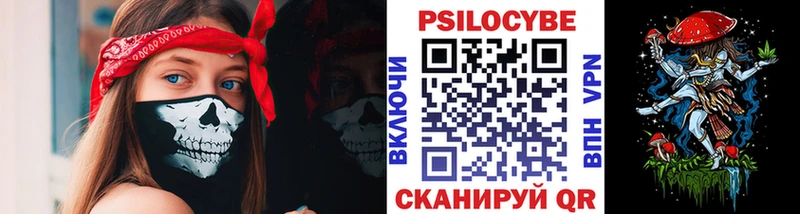 Псилоцибиновые грибы GOLDEN TEACHER  продажа наркотиков  Жуковка 
