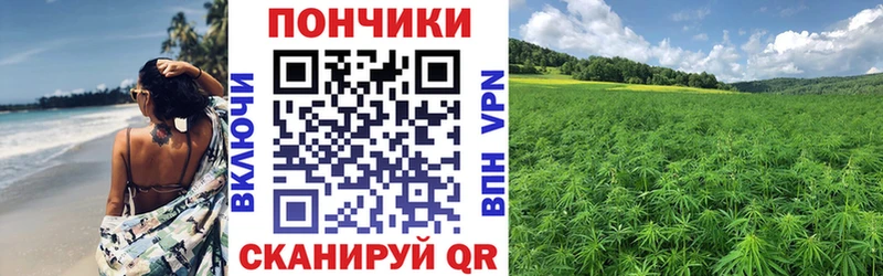 Шишки марихуана гибрид  где купить наркотик  Жуковка 